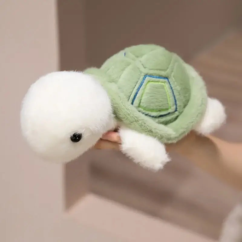 peluche de tortue