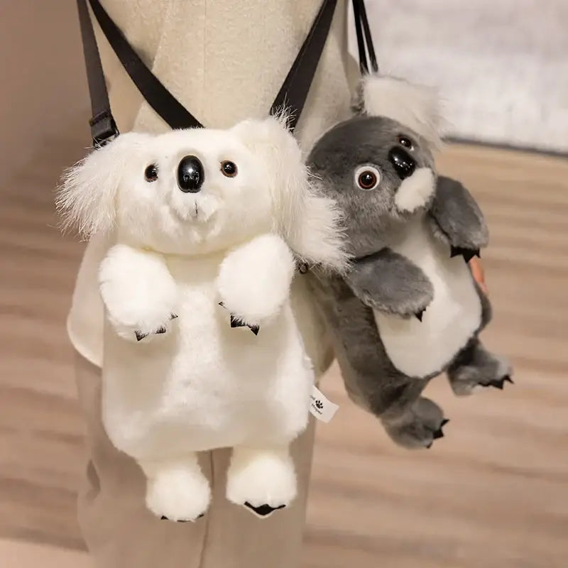 sac koala