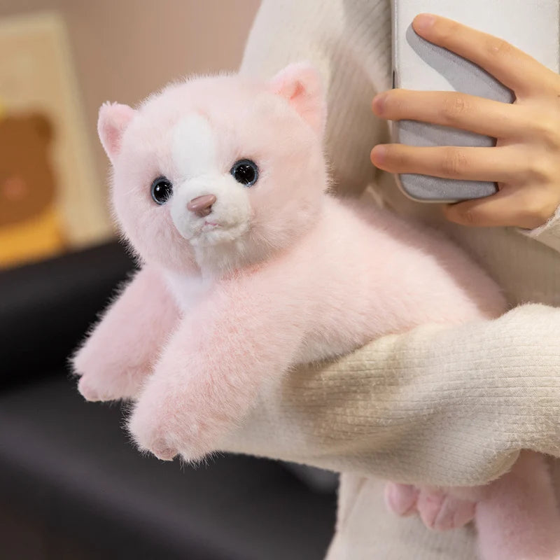 Peluche Chat Rose