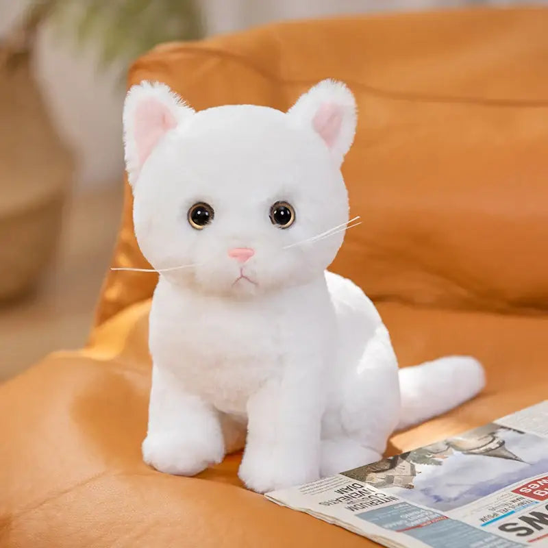 Alba Le Chaton Blanc - Peluche Chaton Blanc