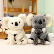 bebe koala peluche