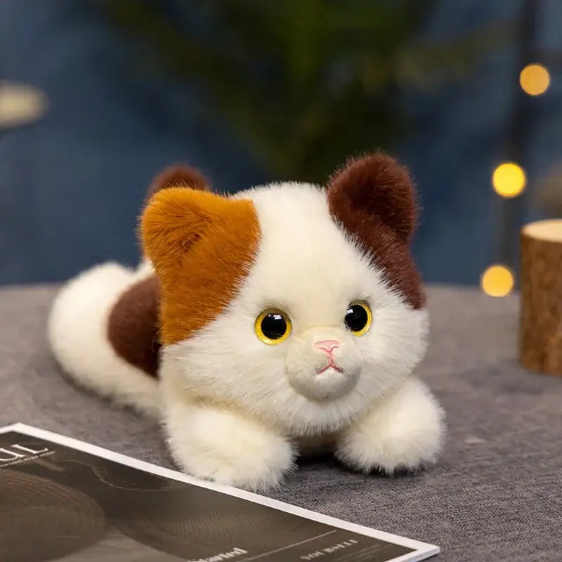 belle peluche chat