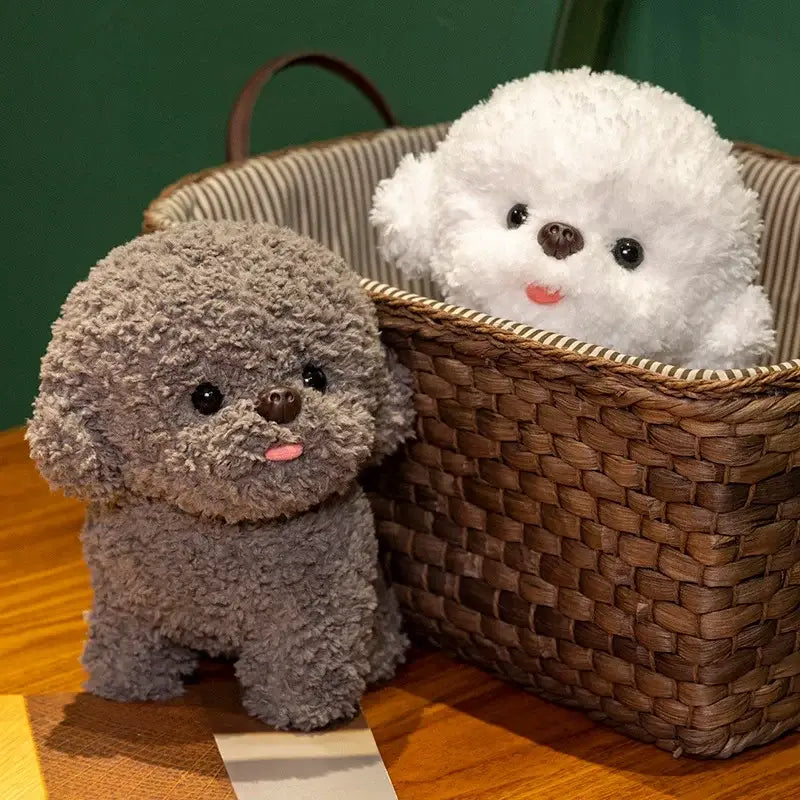 peluche chien bichon