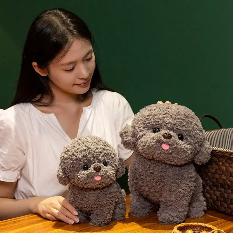 peluche chien bichon