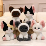 chat peluche bebe