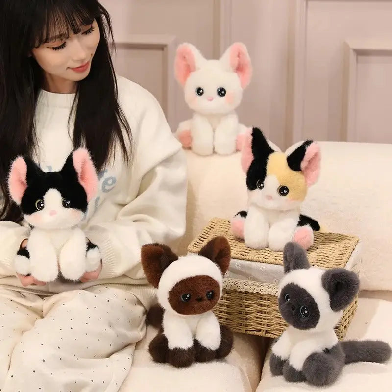 chat peluche bebe