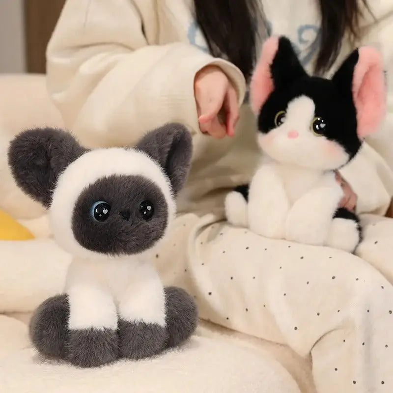 chat peluche bebe