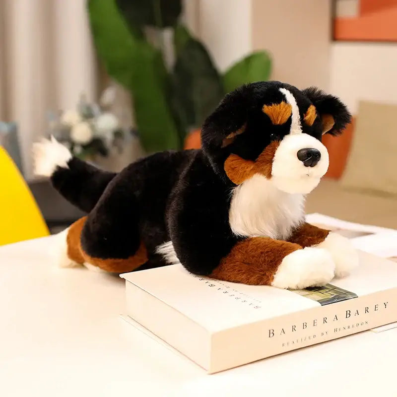 bouvier bernois peluche 45cm Couché