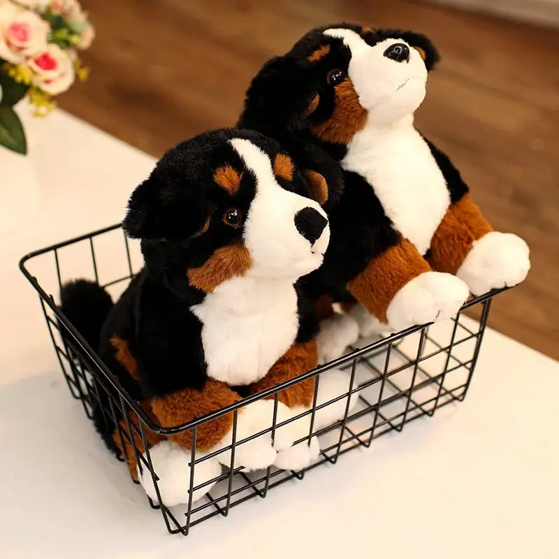 bouvier bernois peluche