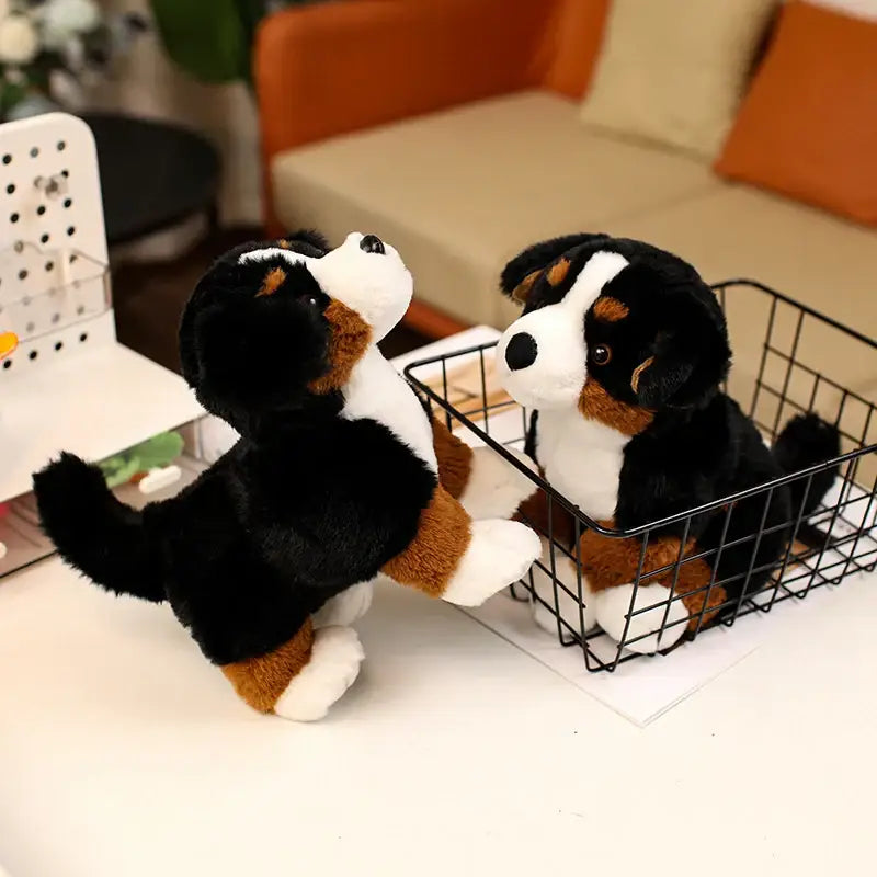bouvier bernois peluche