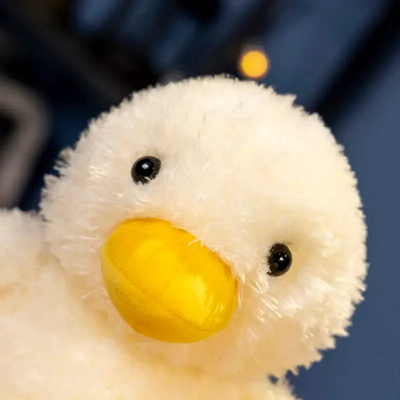 canard en peluche