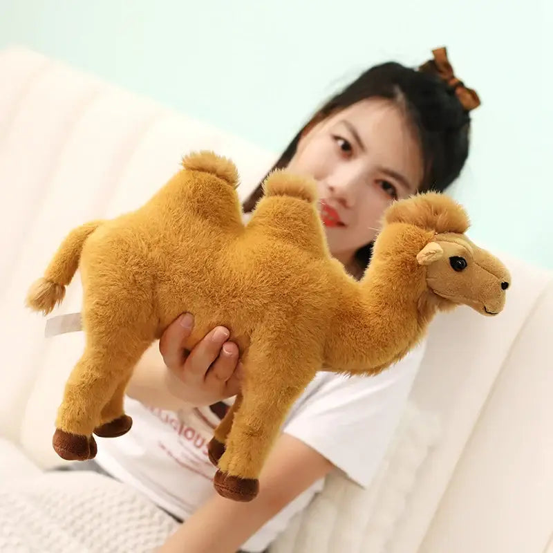 chameau peluche tunisie