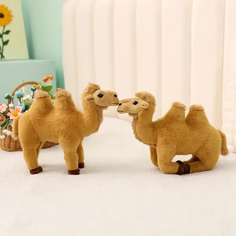 chameau peluche tunisie