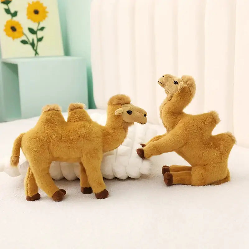 chameau peluche tunisie