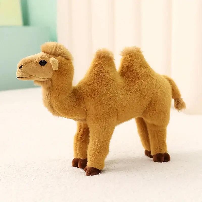 chameau peluche tunisie