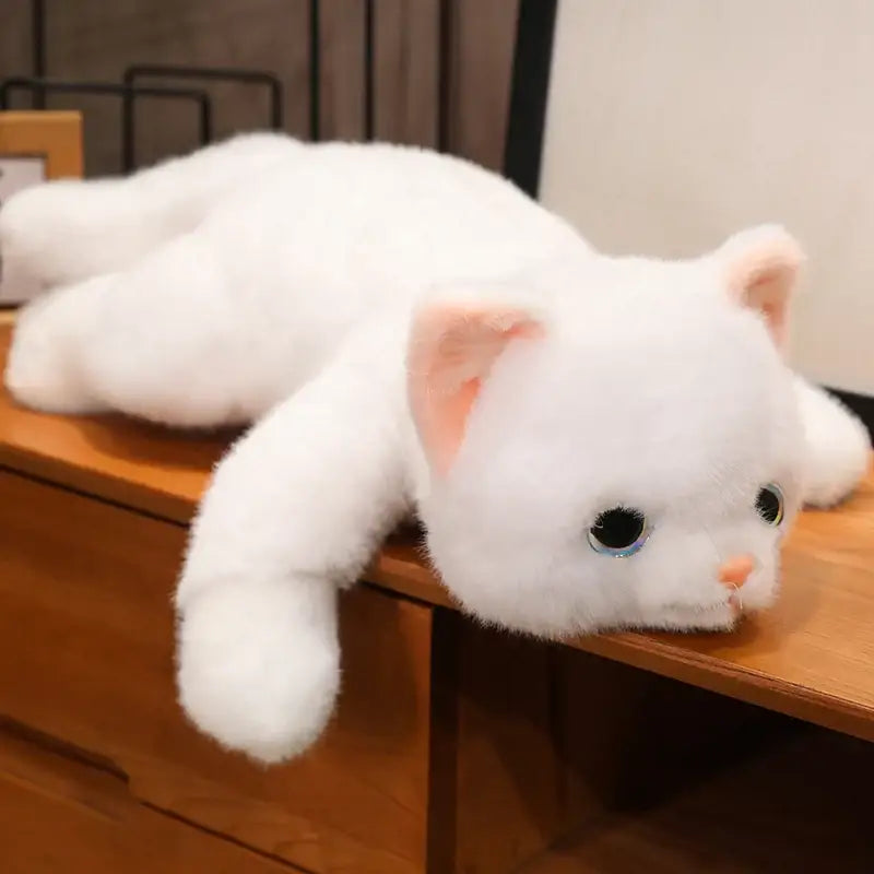 chat blanc peluche - 30cm