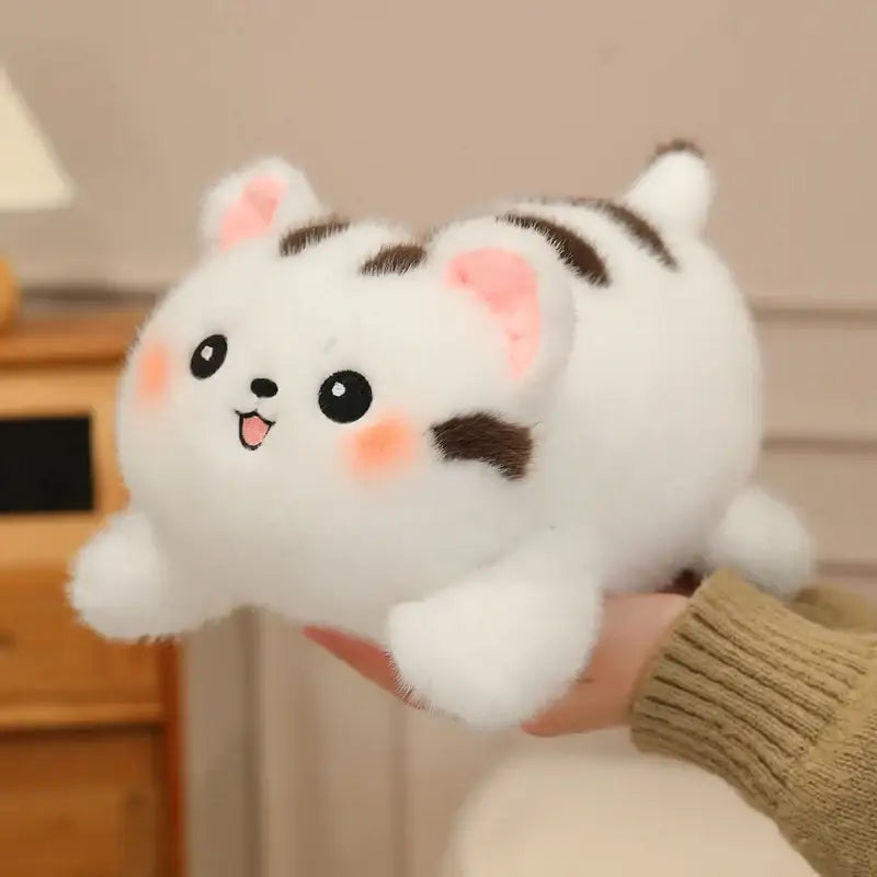Chat Blanc Peluche - 35cm
