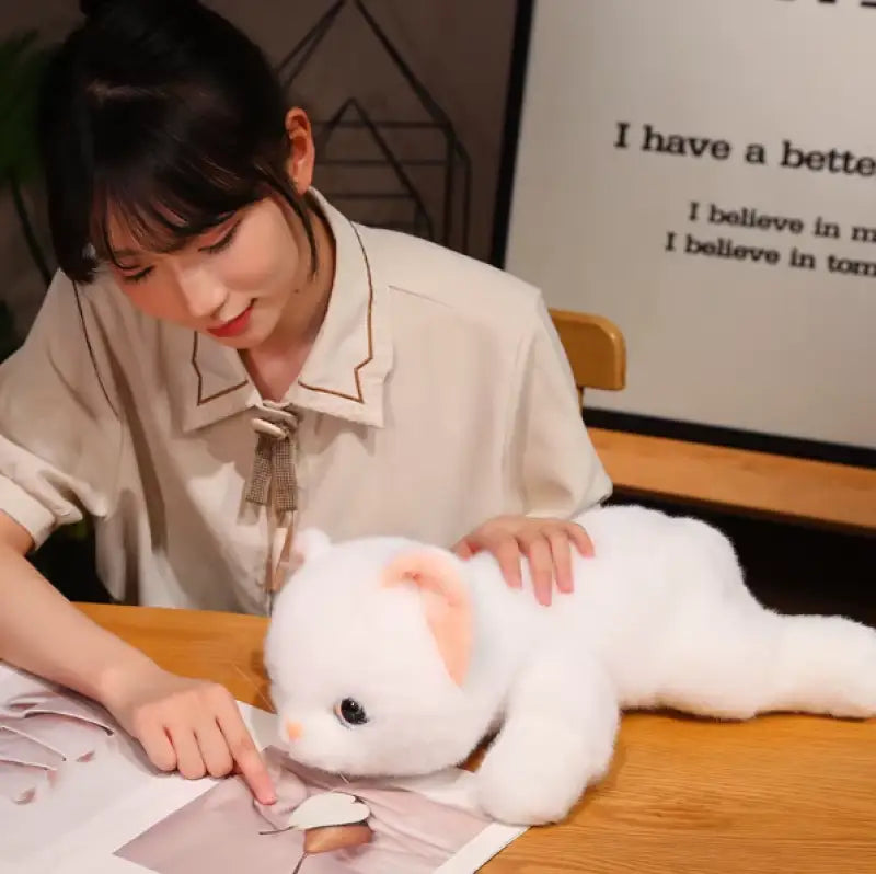 chat blanc peluche