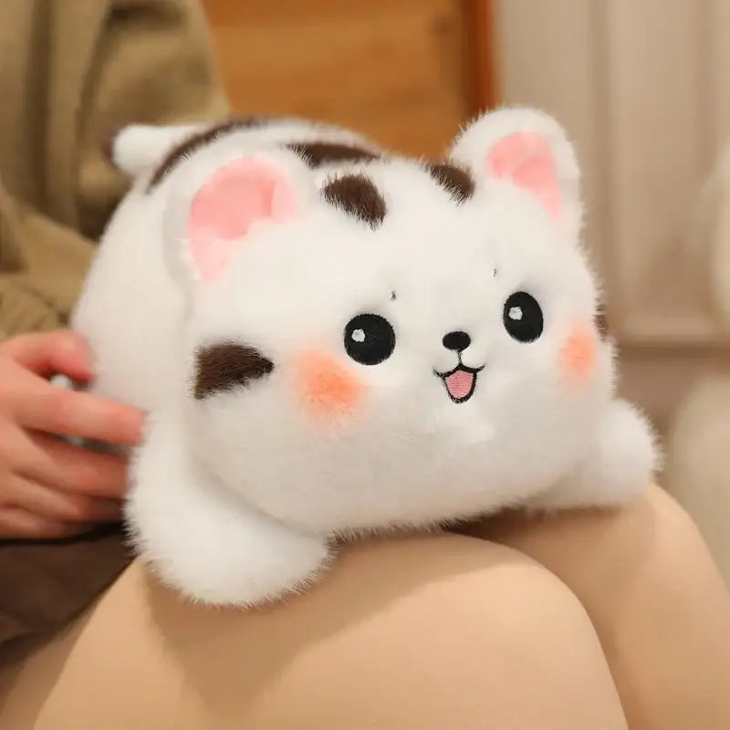 Chat Blanc Peluche