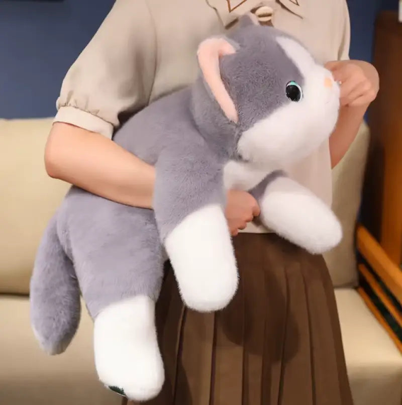 chat gris peluche