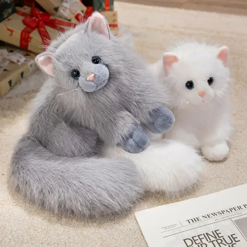 chaton peluche