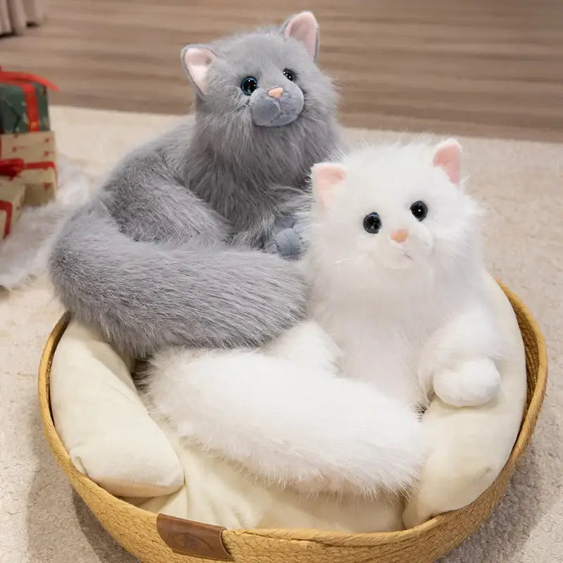chaton peluche