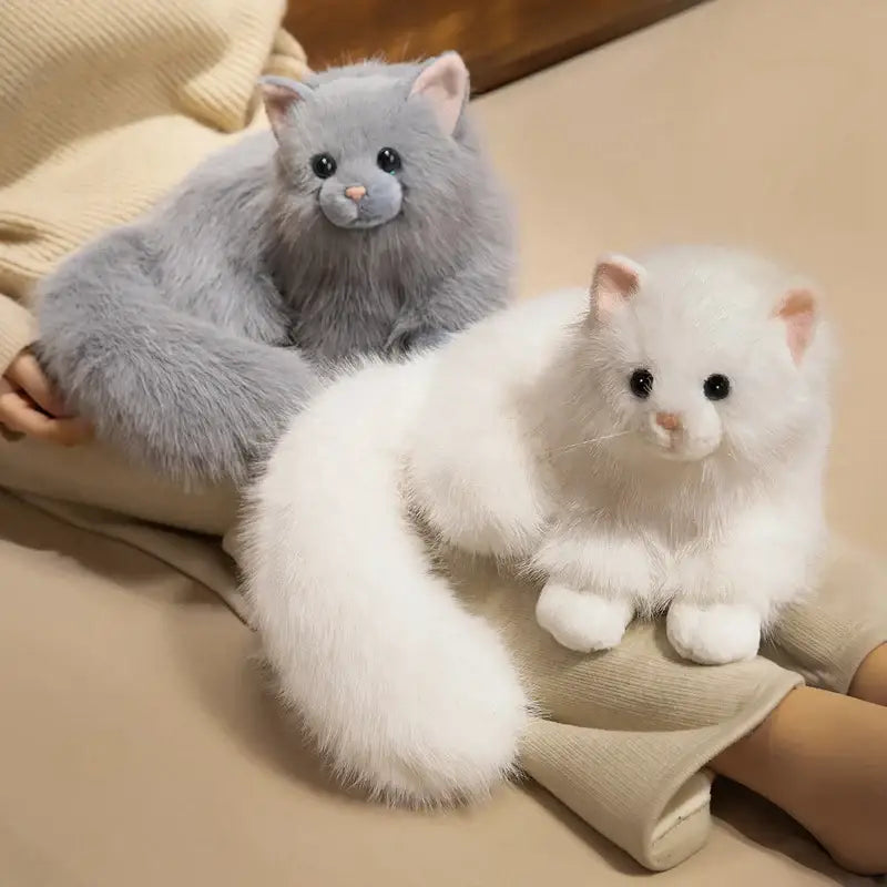 chaton peluche