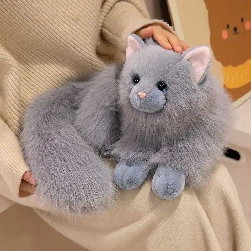 chaton peluche