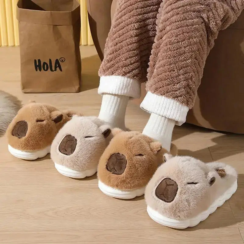 chausson capybara