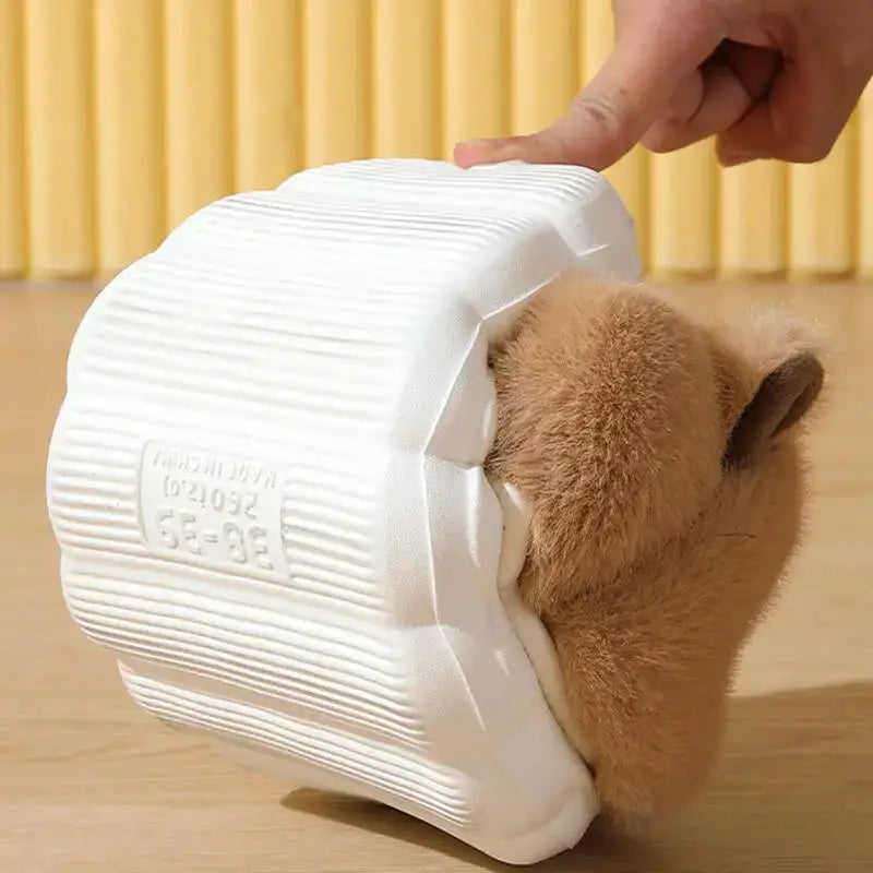 chausson capybara