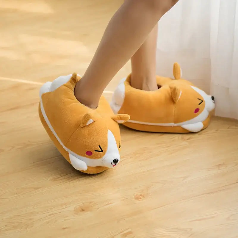chausson corgi