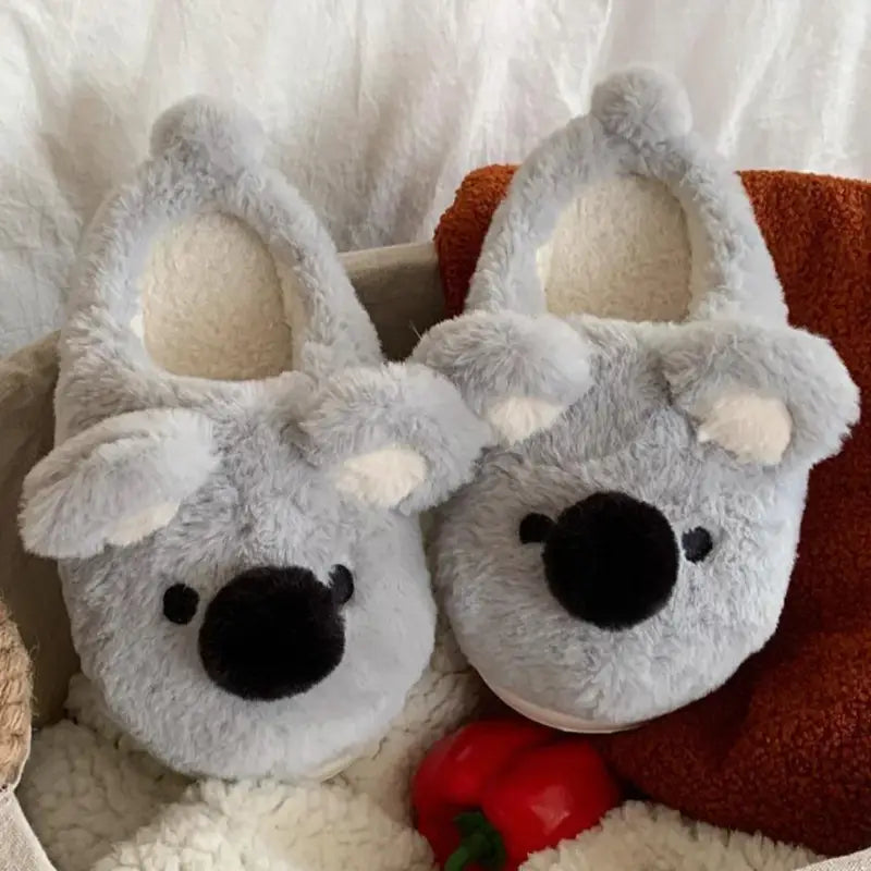 chausson koala