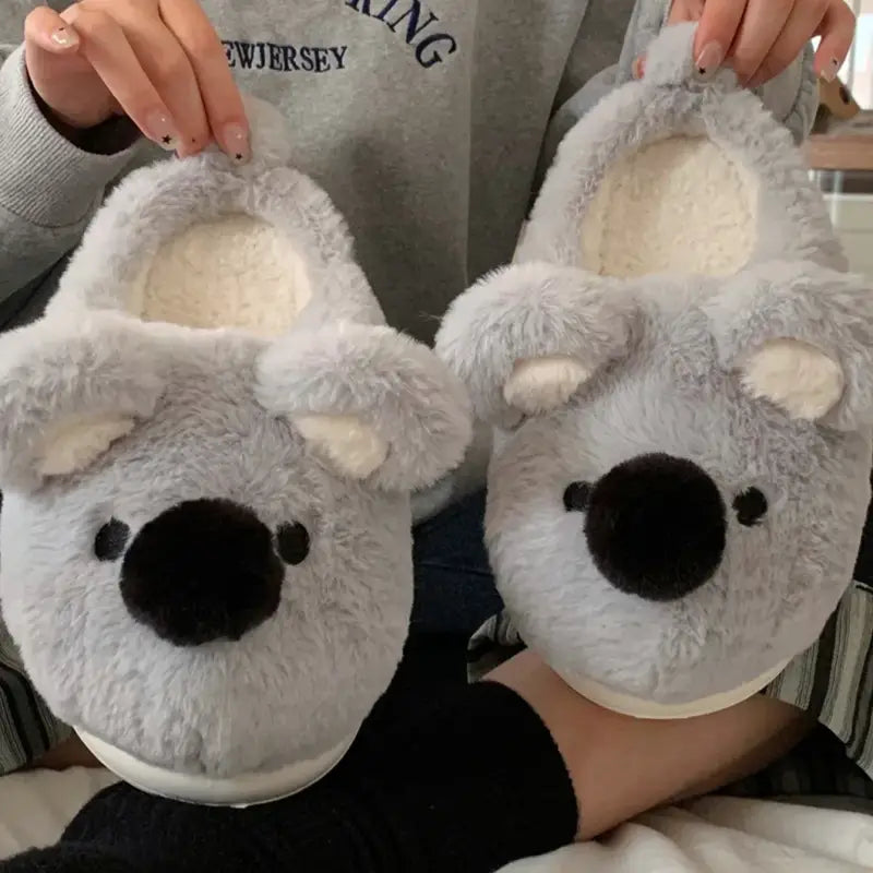 chausson koala