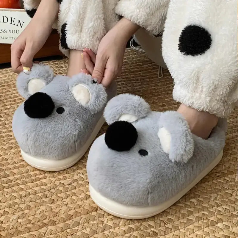 chausson koala