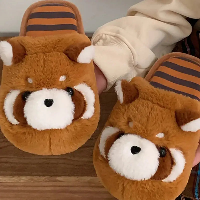 chausson raton laveur