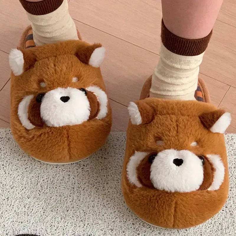 chausson raton laveur