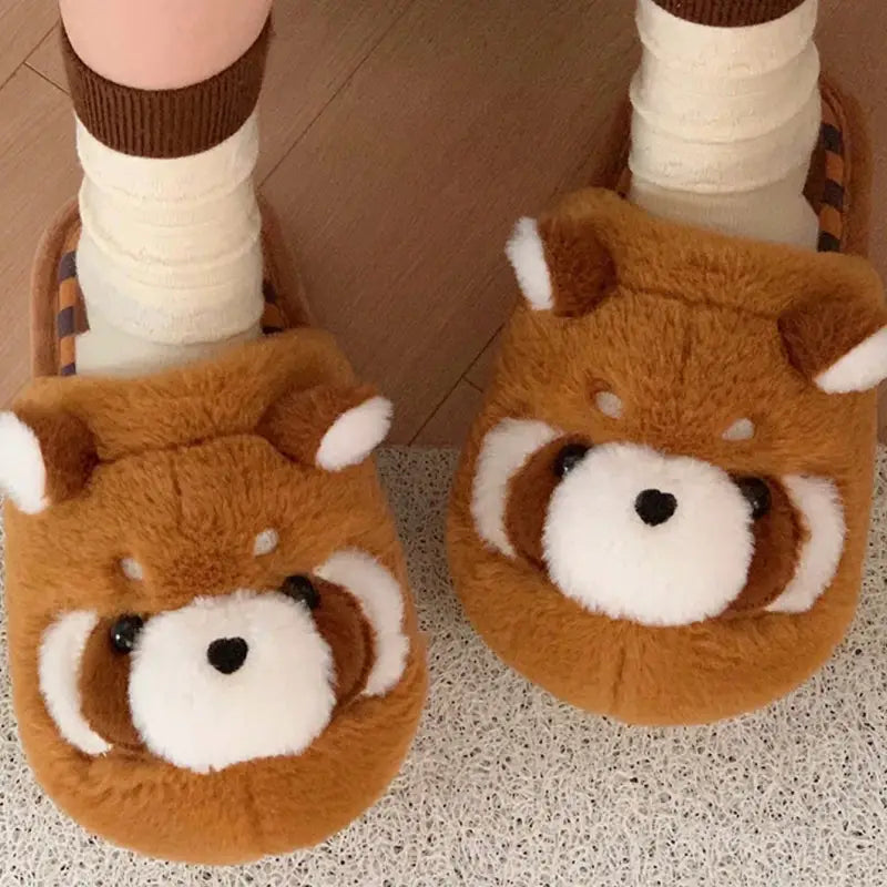 chausson raton laveur