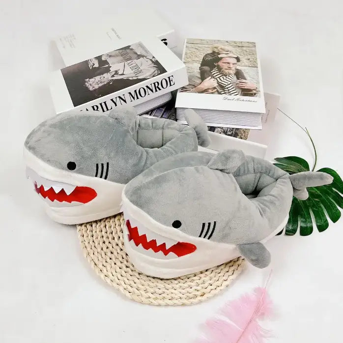 chausson requin
