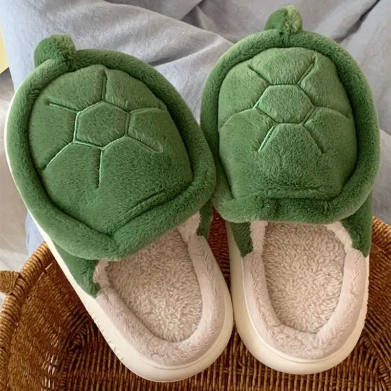 chausson tortue - 36-37