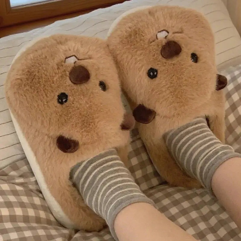 chausson castor