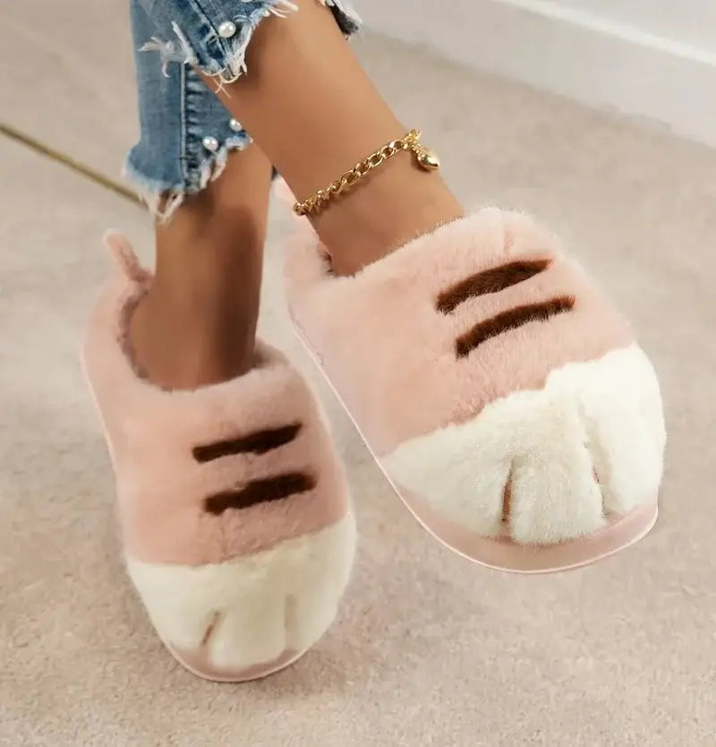 chausson chat