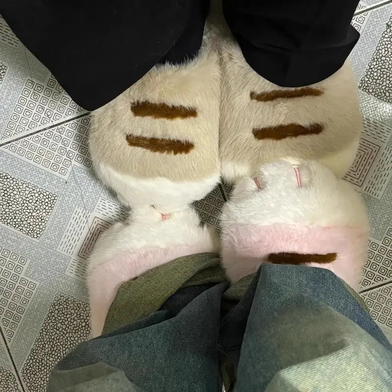 chausson chat