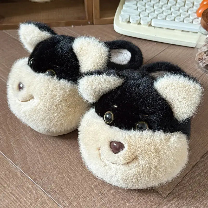chausson chien