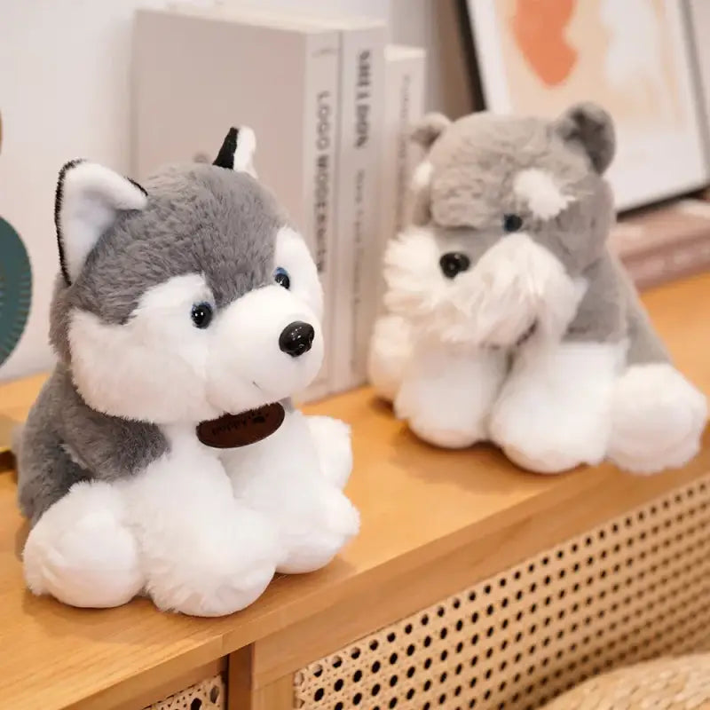 chien gris