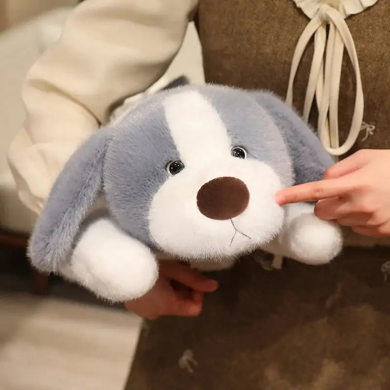 chiot pour peluche