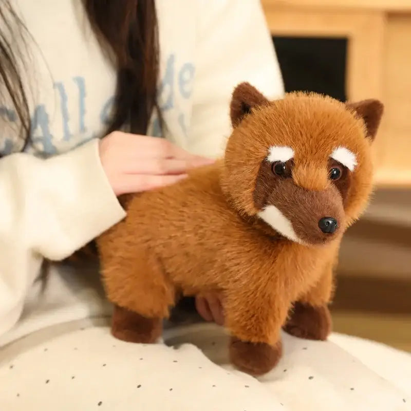 coati peluche