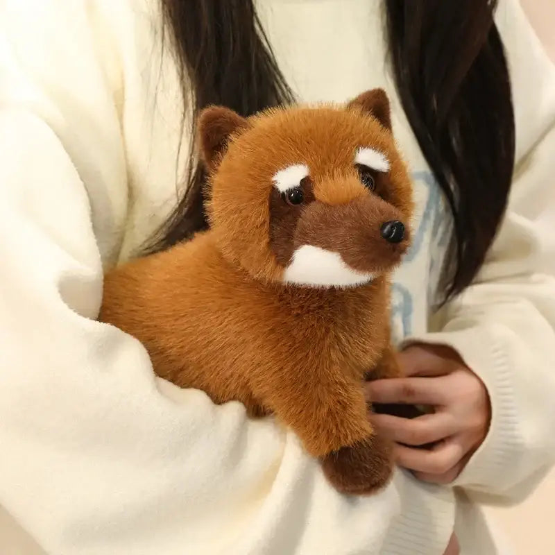 coati peluche