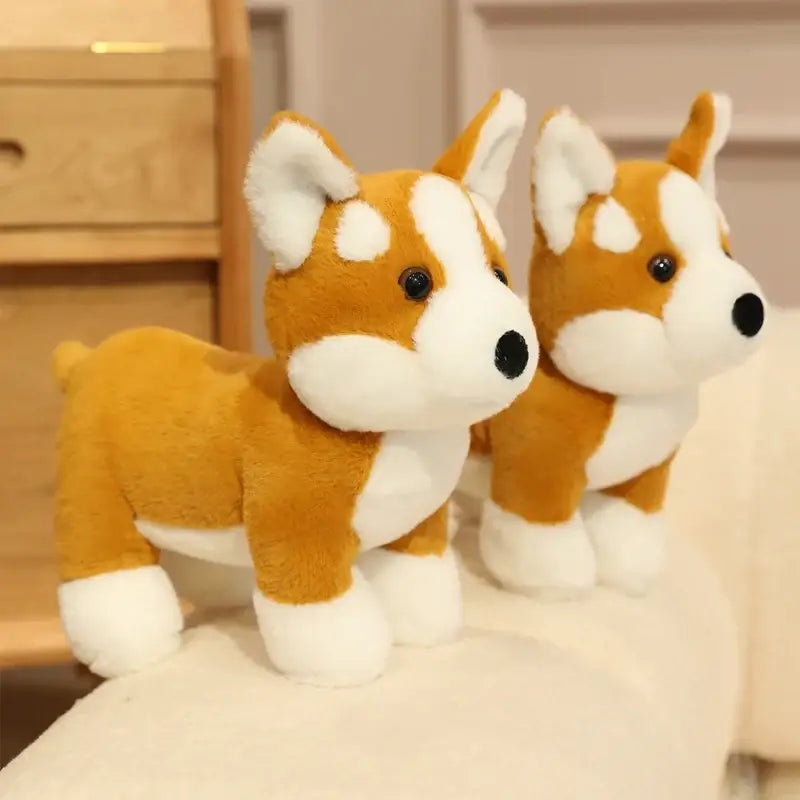corgi en peluche
