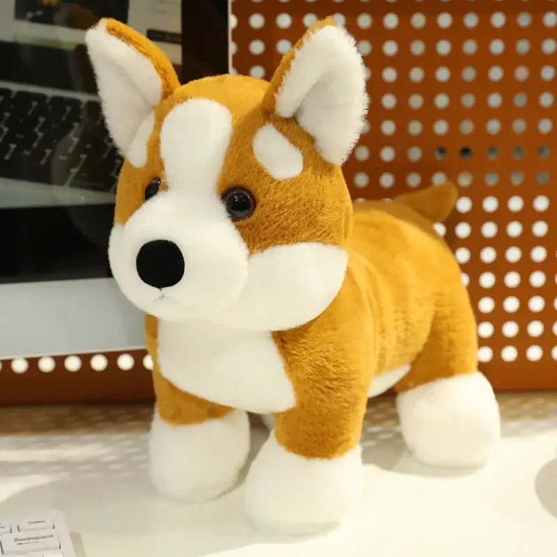 corgi en peluche