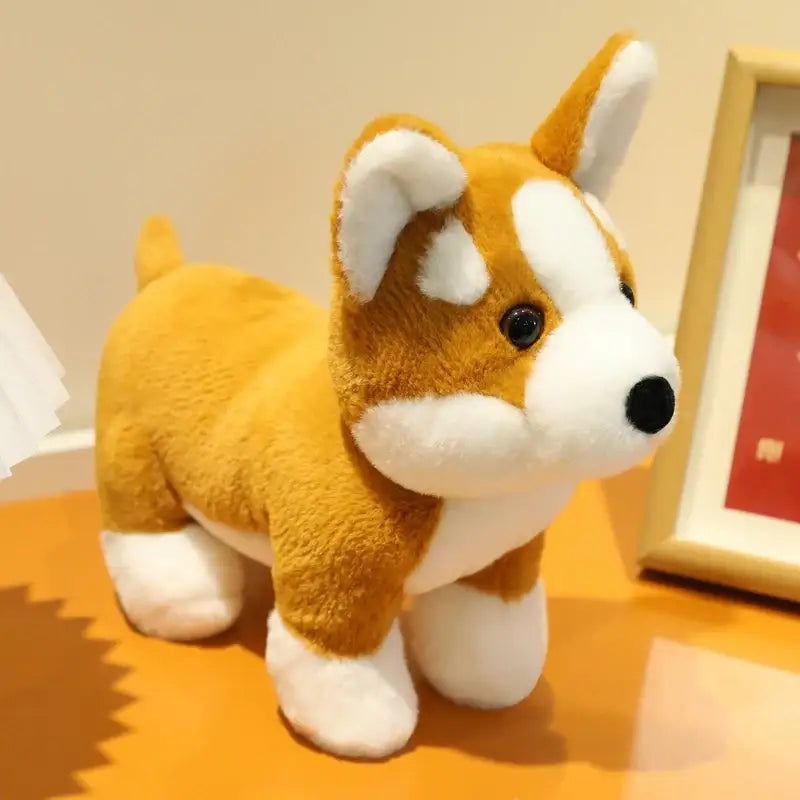 corgi en peluche
